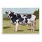 Stupell Industries Dairy Farm Cow Grazing Country Cattle Traditional Painting Wall Plaque